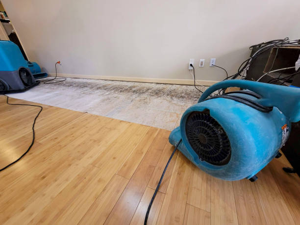 Professional Water Extraction technician working in Harvey, IA